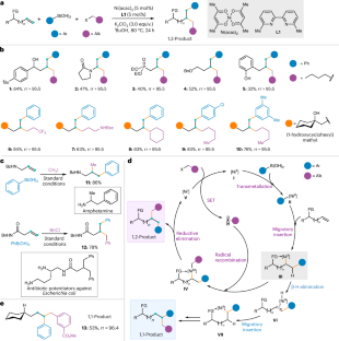 Seeking selectivity in alkene couplings