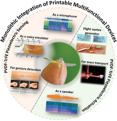 Monolithic Integration of Printable PVDF-TrFE Piezoelectric Multifunctional Devices: From Sensing to Actuation