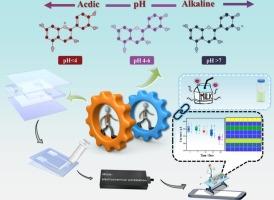 Miniature dual-channel electrochemical 3D-printed sensing platform for enzyme-free screening of L-lactic acid in foodstuffs accompanying pH recognition