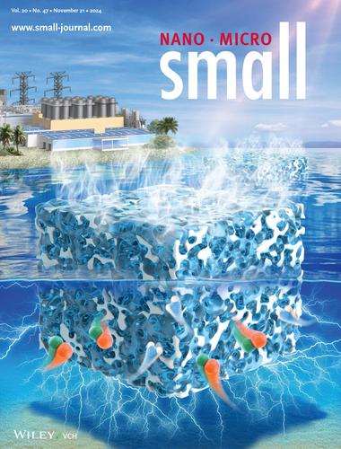 Recent Advances of Bio-Based Hydrogel Derived Interfacial Evaporator for Sustainable Water and Collaborative Energy Storage Applications (Small 47/2024)