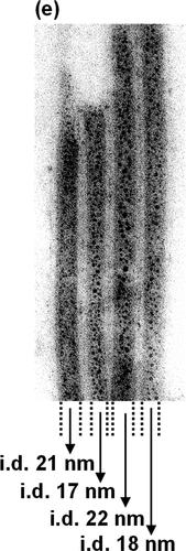 Correction to “Functionalizable Organic Nanochannels Based on Lipid Nanotubes: Encapsulation and Nanofluidic Behavior of Biomacromolecules”