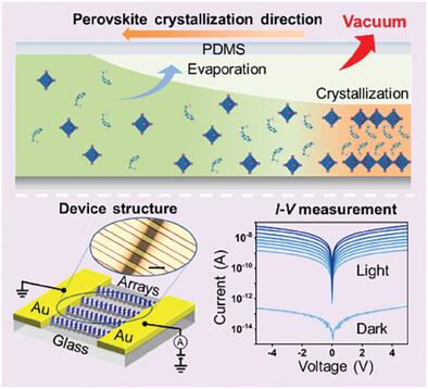 Vacuum-Assisted Growth of Single Crystal Perovskite Arrays toward Ultralow Dark Current Photodetectors