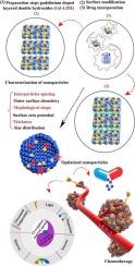 Development of theranostic nanoplatforms based on gadolinium-layered double hydroxides for magnetic resonance imaging-guided stimuli-enhanced chemotherapy