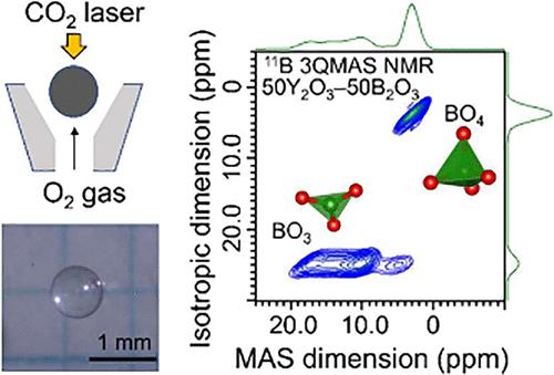 Survival of Fragmented BO4 Units in Highly Modified Rare-Earth-Rich Borate Glasses