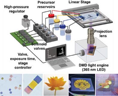 High-Throughput Multiplexed Plasmonic Color Encryption of Microgel Architectures via Programmable Dithering-Mask Flow Microlithography