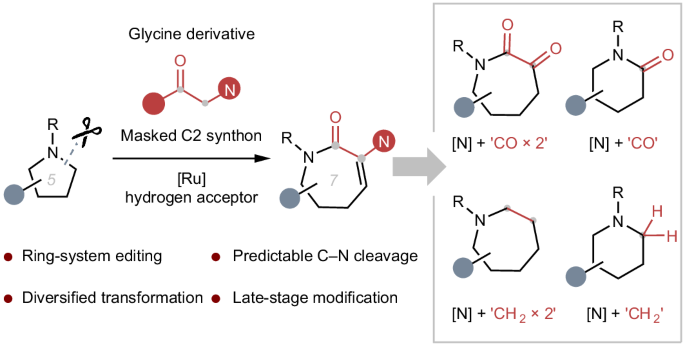 Diversified ring expansion of saturated cyclic amines enabled by azlactone insertion