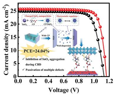 Multifunctional Regulation of Chemical Bath Deposition Based SnO2 for Efficient Perovskite Solar Cells