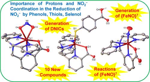 Reduction of Nitrite in an Iron(II)-Nitrito Compound by Thiols and Selenol Produces Dinitrosyl Iron Complexes via an {FeNO}7 Intermediate