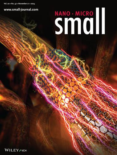 Copper-Graphene Composite (CGC) Conductors: Synthesis, Microstructure, and Electrical Performance (Small 47/2024)