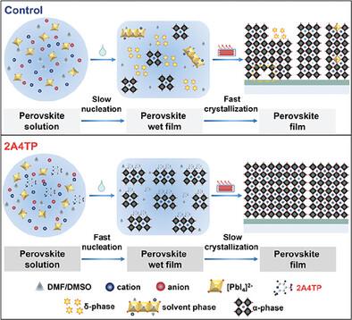 A Facile Strategy to Suppressing Impurity Phase in Perovskite Wet Films for Efficient and Stable Photovoltaics