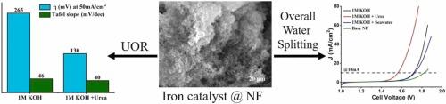 Iron carbonate hydroxide-iron oxide hetero-phase catalyst: A bifunctional electrocatalyst for urea boosted overall water splitting