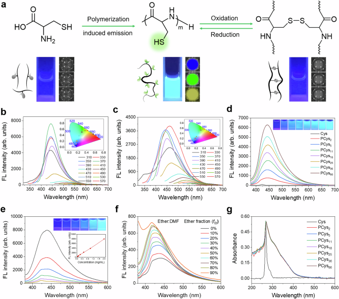 Redox-switchable multicolor luminescent polymers for theragnosis of osteoarthritis