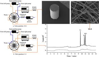 Hydrophilic-lipophilic balance copolymer composite nanofiber as an adsorbent for online solid phase extraction of three estrogens from water samples with column-switching prior to high-performance liquid chromatography