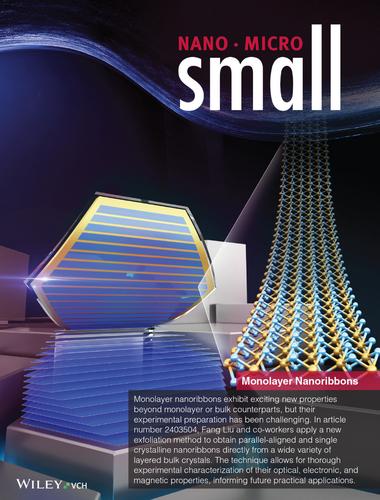 Direct Exfoliation of Nanoribbons from Bulk van der Waals Crystals (Small 47/2024)