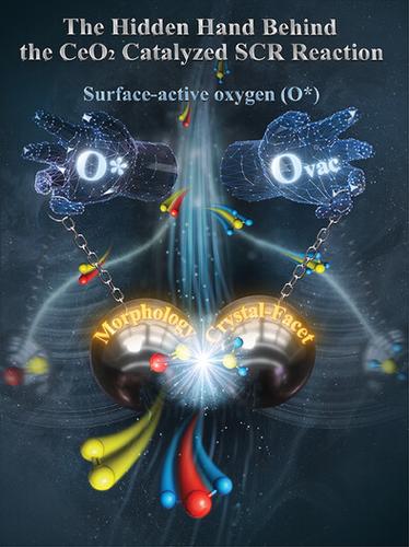 How Do the Morphology and Crystal Facet of CeO2 Determine the Catalytic Activity toward NO Removal?