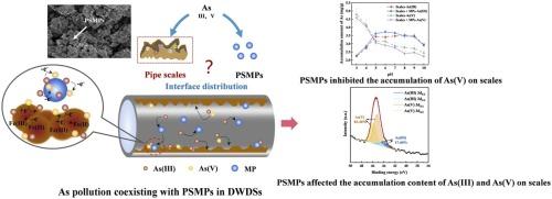 Effects of polystyrene microplastics on the distribution behaviors and mechanisms of metalloid As(Ⅲ) and As(V) on pipe scales in drinking water distribution systems