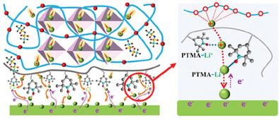 A Radical Mediator Layer on Composite Solid Polymer Electrolyte for Uniform Lithium Deposition