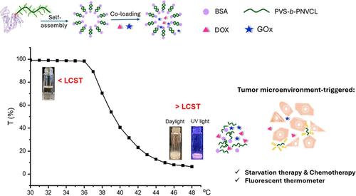 Multifunctional Temperature-Sensitive Lipid–Protein–Polymer Conjugates: Tailored Drug Delivery and Bioimaging