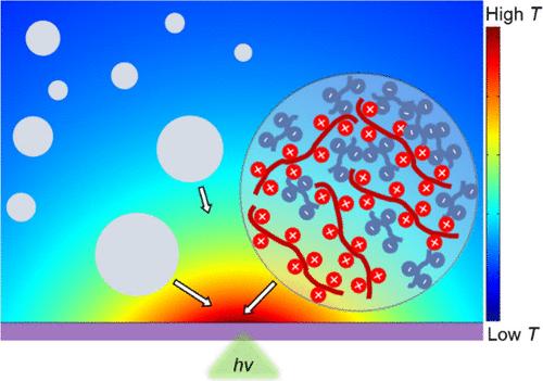 Thermophilic Behavior of Heat-Dissociative Coacervate Droplets