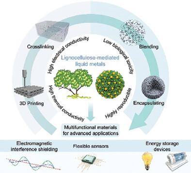 Lignocellulose-Mediated Functionalization of Liquid Metals toward the Frontiers of Multifunctional Materials