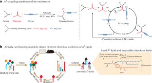 Optimization of the activity and biodegradability of ionizable lipids for mRNA delivery via directed chemical evolution