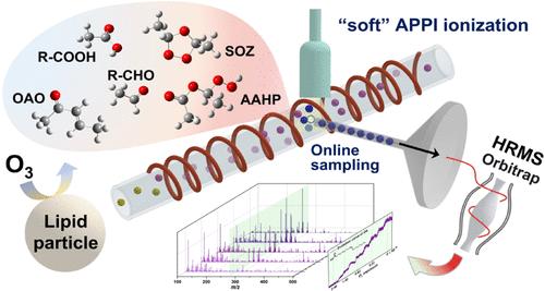Investigating the Kinetics of Heterogeneous Lipid Ozonolysis by an Online Photoionization High-Resolution Mass Spectrometry Technique