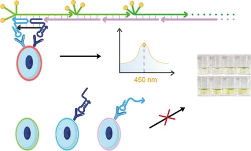 Utilizing DNA Logic Device for Precise Detection of Circulating Tumor Cells via High Catalytic Activity Au Nanoparticle Anchoring