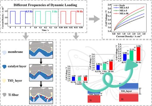 Effects of the Dynamic Loading Frequency on Performance of the Proton Exchange Membrane Water Electrolysis