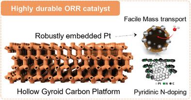 Self-Assembled Hollow Gyroids with Bicontinuous Mesostructures: A Highly Robust Electrocatalyst Fixation Platform