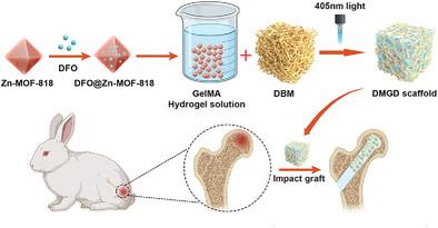 Multifunctional Scaffold Comprising Metal–Organic Framework, Hydrogel, and Demineralized Bone Matrix for the Treatment of Steroid-Induced Femoral Head Necrosis