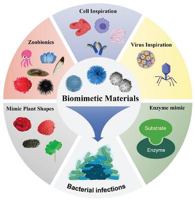 Biomimetic Materials for Antibacterial Applications