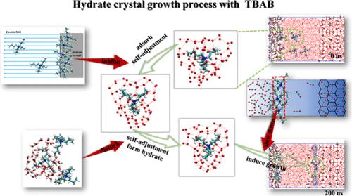 Molecular Insights into the Concentration Dependent Promotion Effect of Tetrabutylammonium Bromide on Hydrate Growth: A Molecular Dynamics Simulation Study