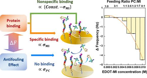 Quantitatively Elucidating the Trade-Off between Zwitterionic Antifouling Surfaces and Bioconjugation Performance