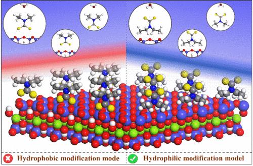 Hydrophilic Modification of Macroscopically Hydrophobic Mineral Talc and Its Specific Application in Flotation