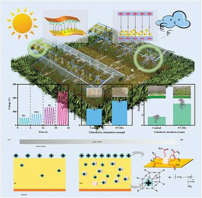 Waste-To-Energy: Sustainable Triboelectric Stimulating System Constructed by Bone Gelatin Based Triboelectric Nanogenerator for Crop Growth