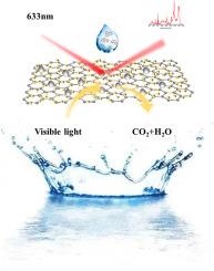 Magnetic optimizing surface-enhanced Raman scattering (SERS) strategy of detection and in-situ monitoring of photodegradation of Benzo[a]pyrene in water