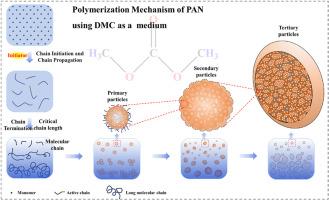 Polymerization of acrylonitrile in dimethyl carbonate: A kinetic and mechanistic study