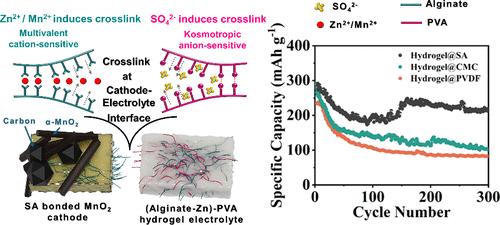 Self-Reinforced Cathode Interface to Prolong the Cyclic Stability of Zn-MnO2 Batteries