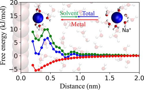 Hydration-Shell Solvation and Screening Govern Alkali Cation Concentrations at Electrochemical Interfaces