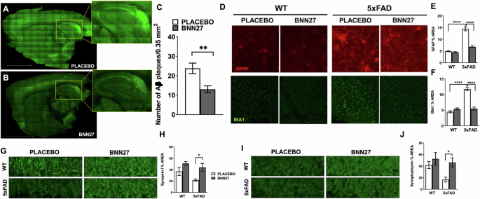 Multimodal beneficial effects of BNN27, a nerve growth factor synthetic mimetic, in the 5xFAD mouse model of Alzheimer’s disease