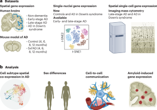 Spatial mapping of Alzheimer’s disease across genetic subtypes