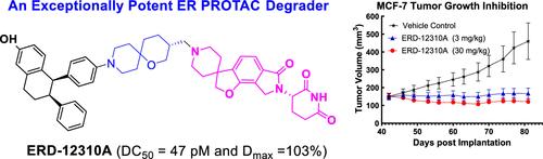 Discovery of ERD-12310A as an Exceptionally Potent and Orally Efficacious PROTAC Degrader of Estrogen Receptor α (ERα)