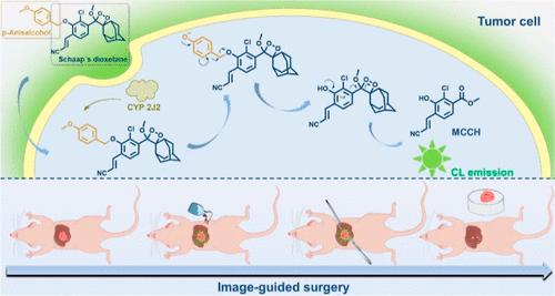 Highly Sensitive Chemiluminescent Probe for CYP 2J2 Detection and Image-Guided Liver Cancer Surgery