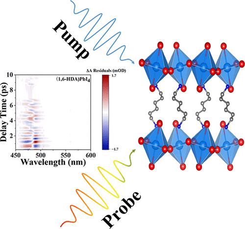 The Role of Cations in Coherent Phonon Properties in Dion–Jacobson Type 2D Hybrid Organic–Inorganic Perovskites
