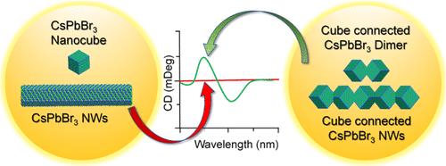 Deriving Chiroptical Properties from Intrinsically Achiral Building Blocks of One-Dimensional CsPbBr3 Perovskite Nanowires