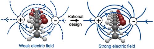 Electric Fields in Polymeric Systems