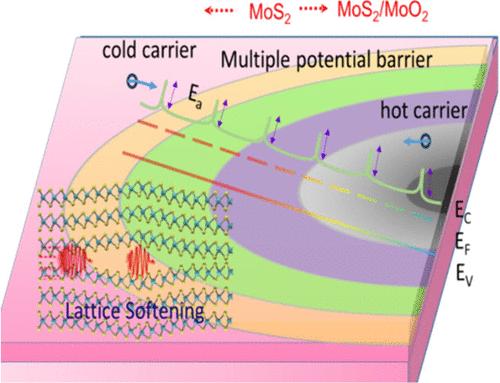 Ambipolar Seebeck Coefficient in MoS2/MoS2–MoO2 Graded Composites by Junction Reciprocation