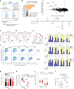 Glucose limitation protects cancer cells from apoptosis induced by pyrimidine restriction and replication inhibition