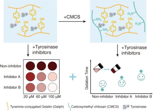 Tyrosinase Oxidative Cross-Linking in the Cell-Like Crowded Microenvironment for Visible Inhibitor Screening