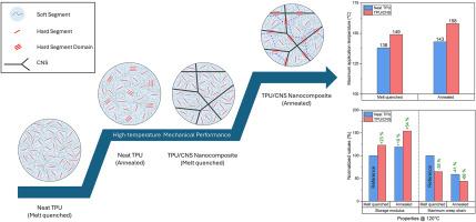 The effect of annealing on the morphology and thermo-mechanical properties of TPU/CNS nanocomposites